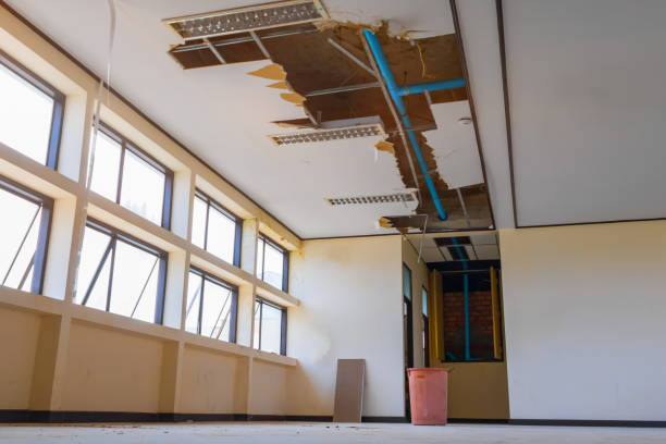 Best 24/7 water damage repair  in Wheeling, IL