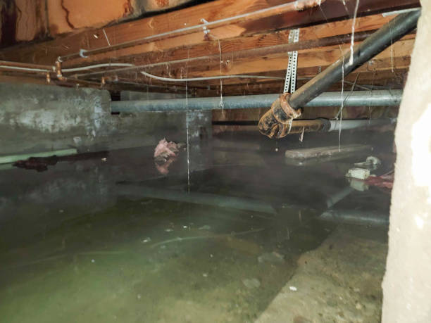 Best Basement water damage restoration  in Wheeling, IL