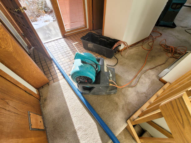 Best Basement water damage restoration  in Wheeling, IL