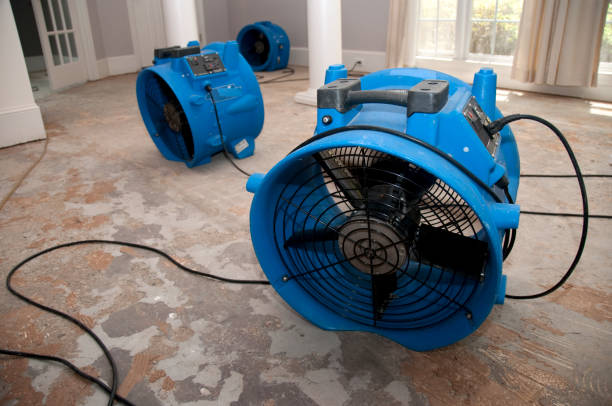 Best Residential water damage restoration  in Wheeling, IL