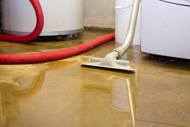  Wheeling, IL Water damage restoration Pros