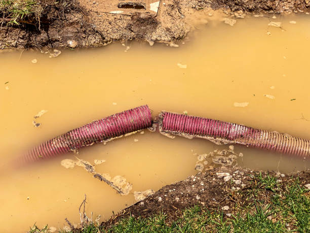 Best Flooded house restoration  in Wheeling, IL