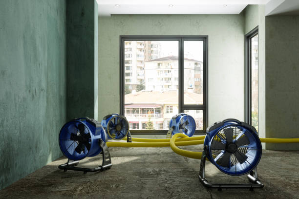 Best Flood damage cleanup  in Wheeling, IL
