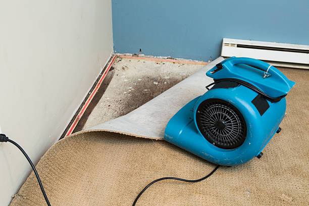 Best Fire Damage Restoration  in Wheeling, IL